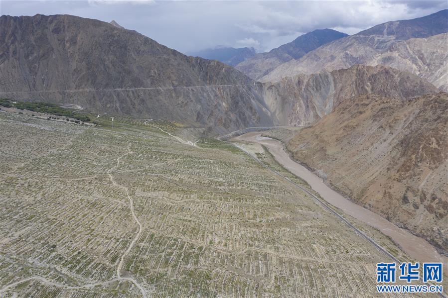 (西藏昌都解放70周年·圖文互動)(1)藏東脫貧影像:怒江河畔葡萄香