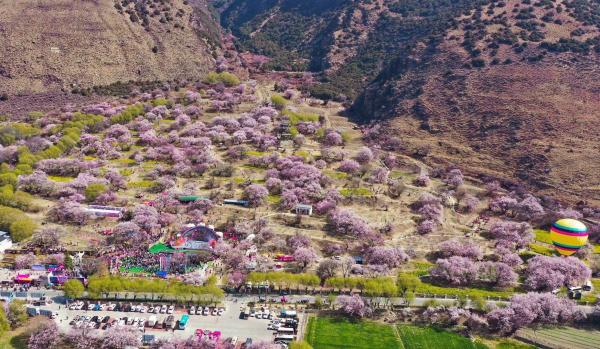 世外桃源！一組圖告訴你，西藏林芝桃花能有多美