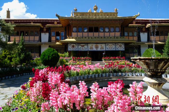 圖為夏日羅布林卡(資料圖)。趙朗攝