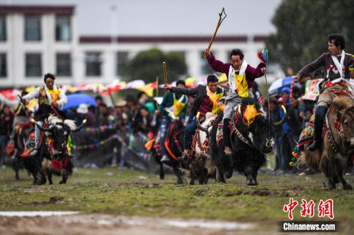 圖為拉薩郊縣的賽馬節(jié)(資料圖)。何蓬磊 攝