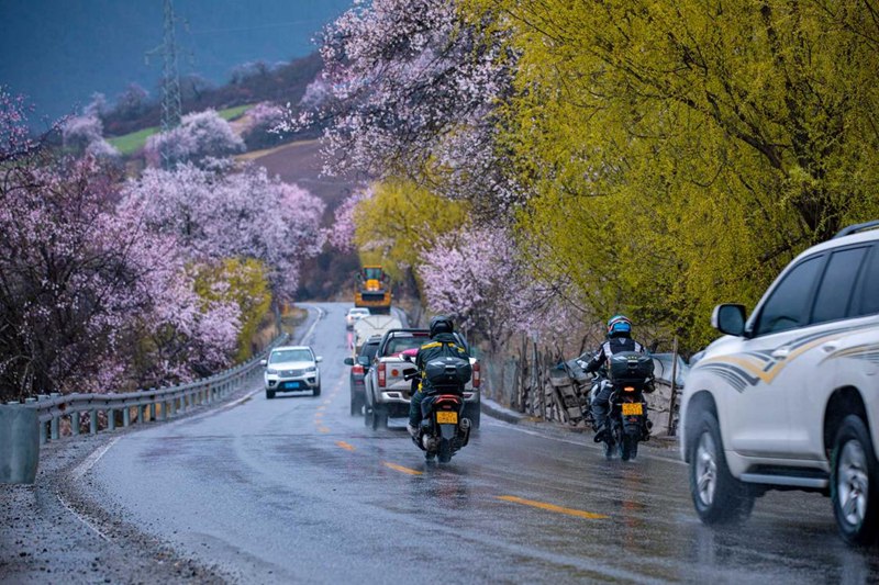 桃花林。張靜攝