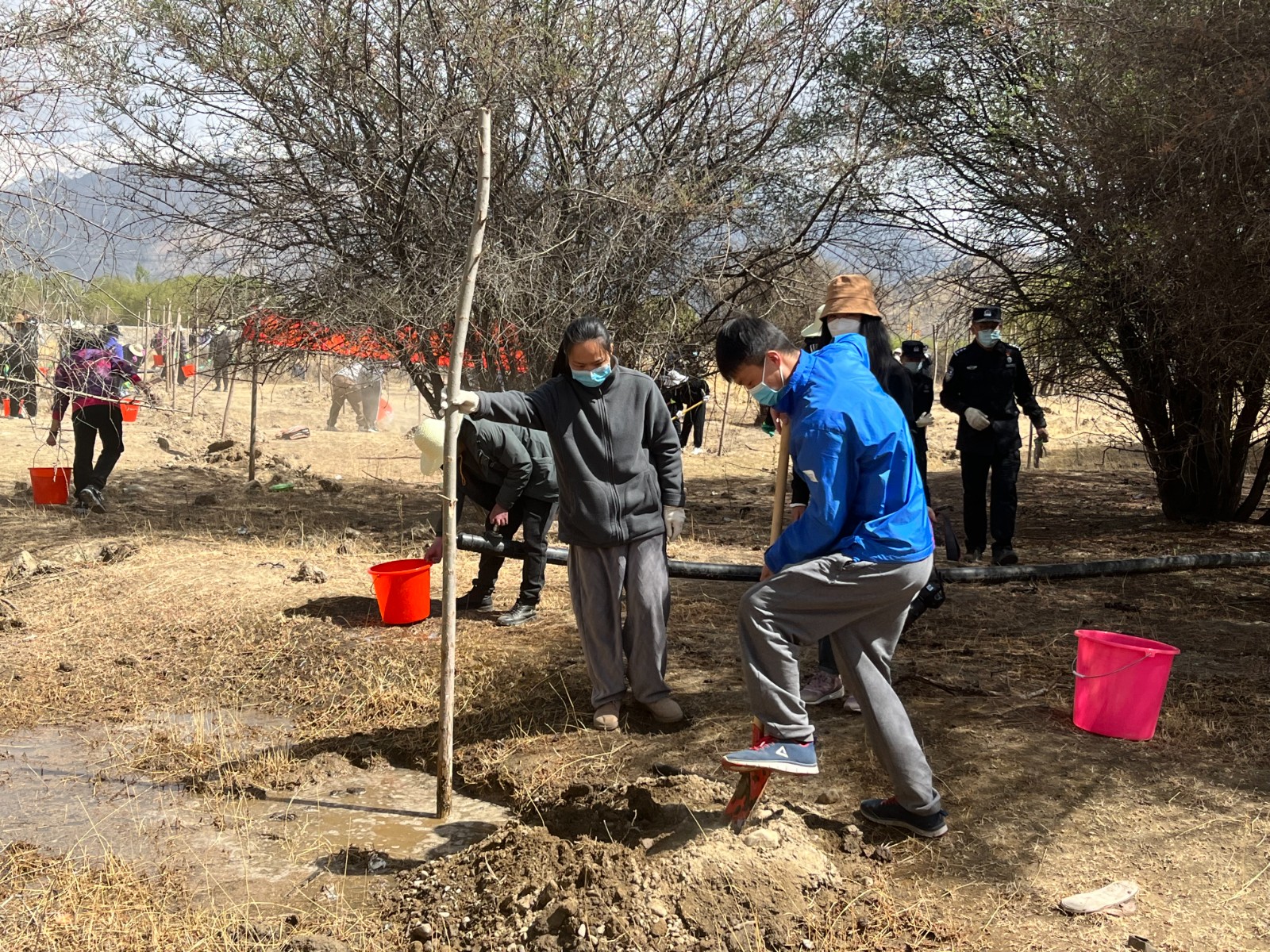 植樹(shù)現(xiàn)場(chǎng)，大家分工明確，配合默契(2000565)-20220420090303.jpg
