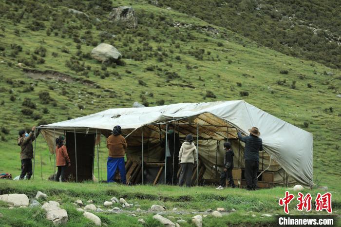 圖為牧民們?cè)谇锛灸翀龃罱◣づ瘛！÷蹇?攝