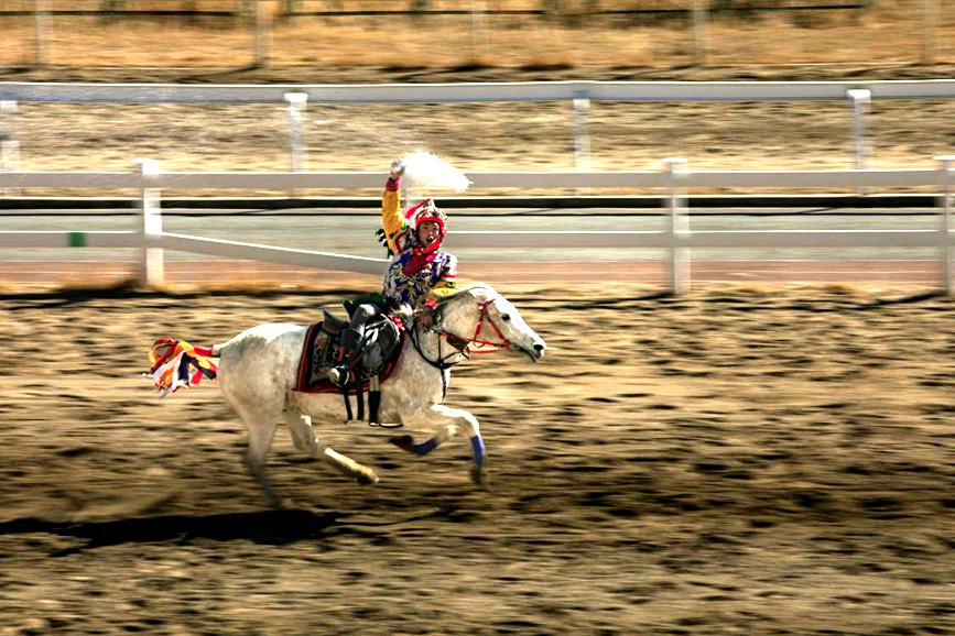 藏歷新年，精彩的馬術表演。張靜攝