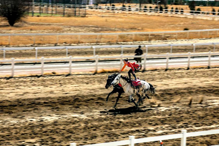 藏歷新年，精彩的馬術表演。張靜攝