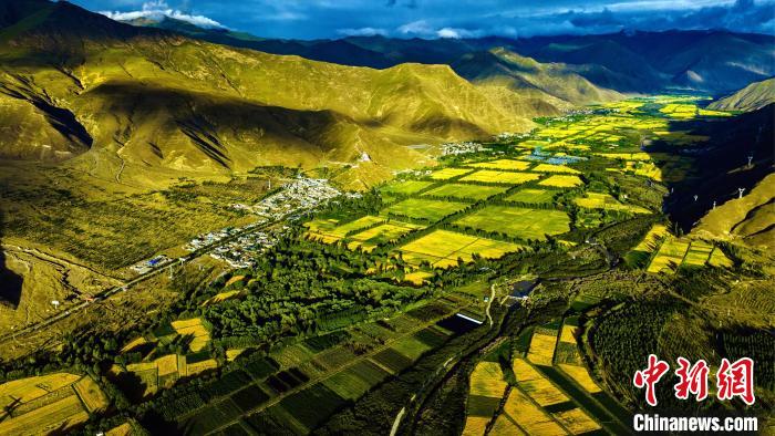 圖為山南雍布拉康附近農(nóng)田?！埼?攝