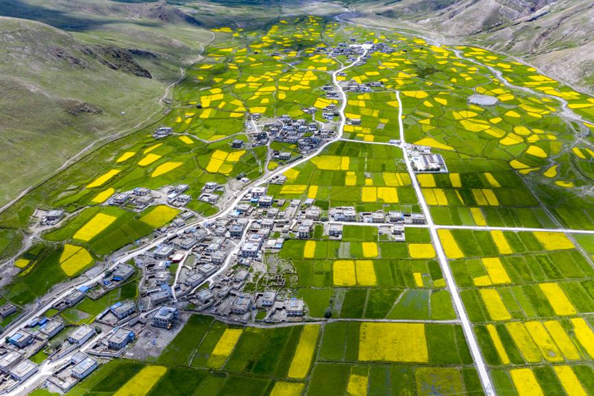 航拍道布龍村，依山傍水，阡陌縱橫。