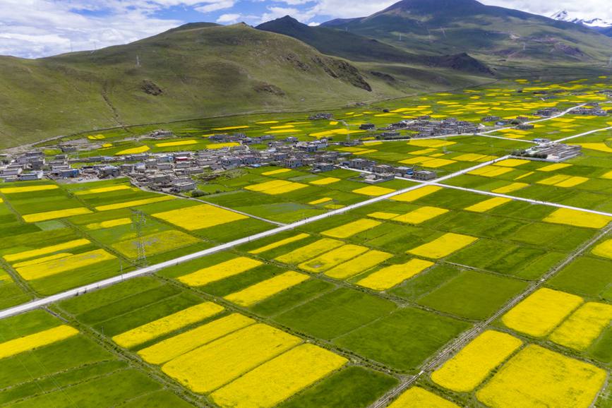 航拍道布龍村，依山傍水，阡陌縱橫。