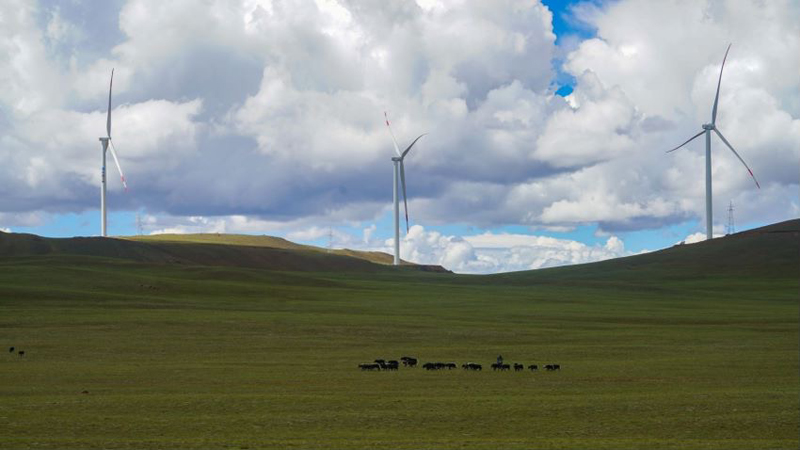 西藏措美哲古風(fēng)電場首批3.6兆瓦風(fēng)電機組并網(wǎng)發(fā)電。受訪者供圖