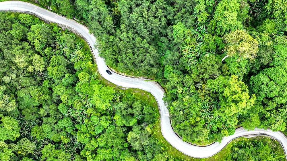 穿行于綠色間，生態(tài)優(yōu)良。張澤坤攝