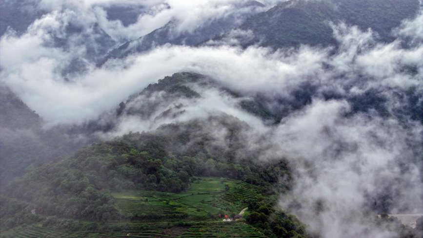 秋日里的墨脫云海。張澤坤攝