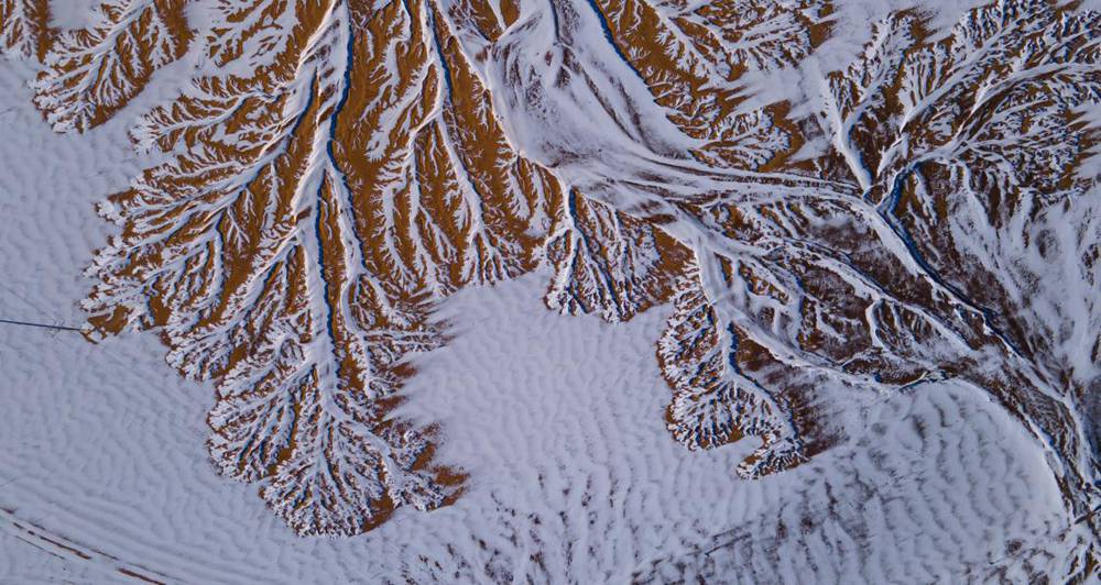 栩栩如生的枝干。邊巴多吉攝