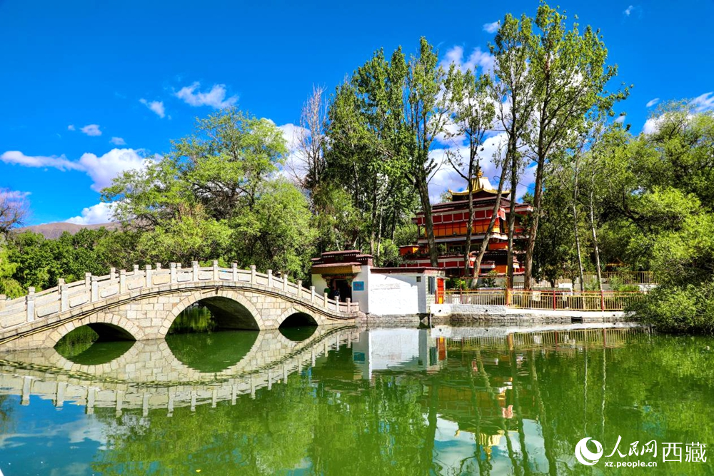 公園內(nèi)綠意盎然。