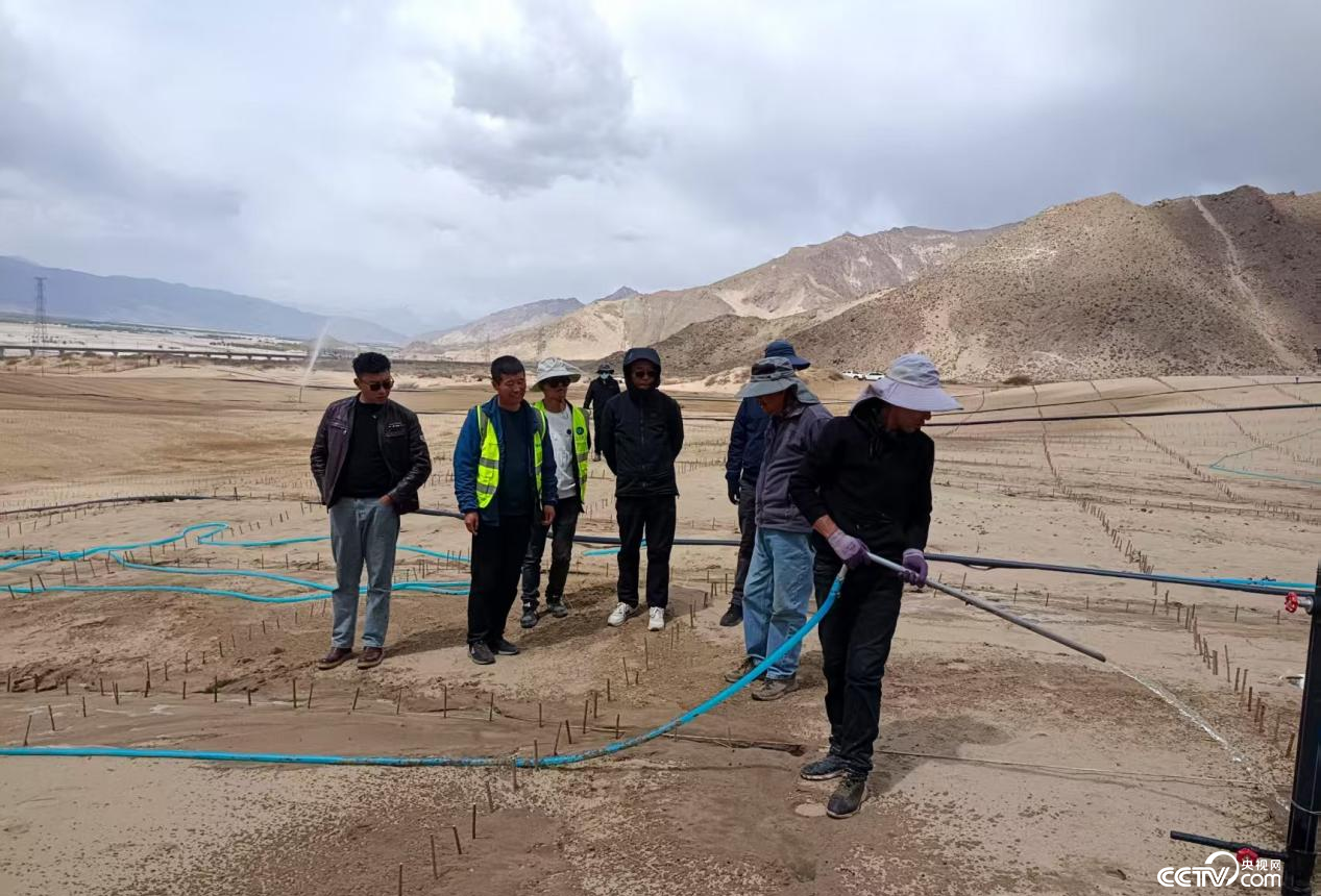 拉薩南北山綠化工程貢嘎段11號片區(qū)開展生態(tài)修復(fù)工程(主辦方供圖)