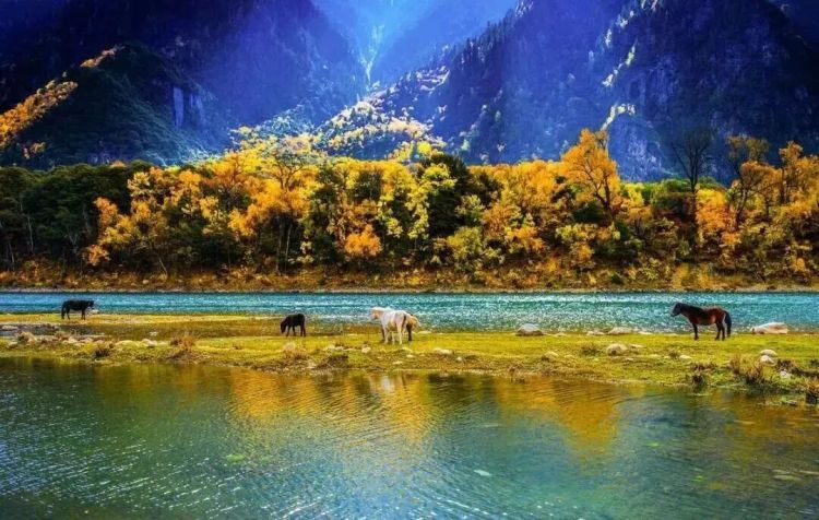 懂西藏的人，一定不會(huì)錯(cuò)過林芝的秋天