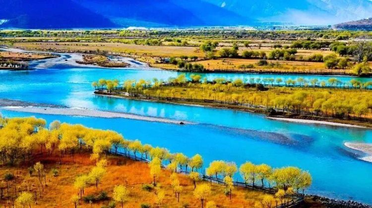 懂西藏的人，一定不會(huì)錯(cuò)過林芝的秋天