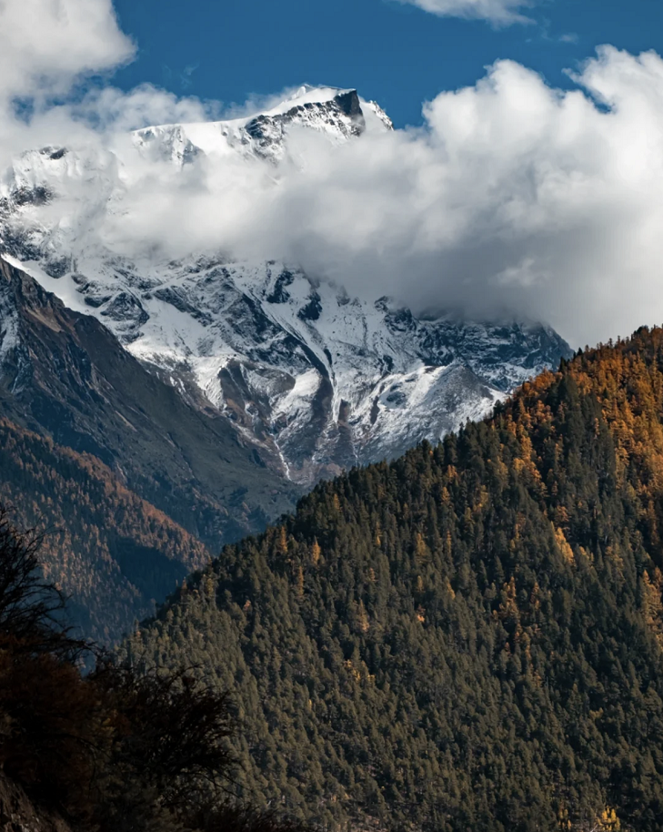 懂西藏的人，一定不會(huì)錯(cuò)過林芝的秋天