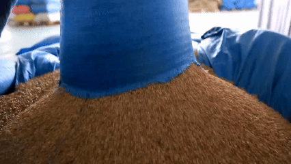 青稞“蛻變”，牦牛“出圈”！看西藏農(nóng)牧民的“十四五”豐收答卷