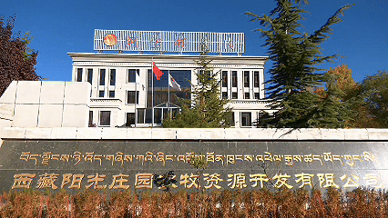 青稞“蛻變”，牦?！俺鋈Α保】次鞑剞r(nóng)牧民的“十四五”豐收答卷