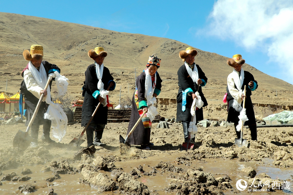 身著傳統(tǒng)服飾的拉東村村民手持鐵鍬疏通水道、引水灌溉，渠水奔涌入田，開啟春耕生產(chǎn)。人民網(wǎng)記者 吳雨仁攝