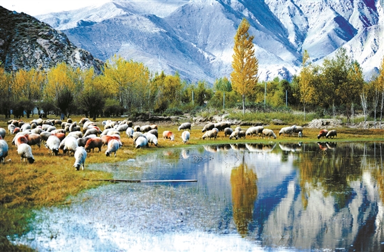 曲水縣郊外的怡人風(fēng)景。 拉薩日報 平措旺堆攝.jpg