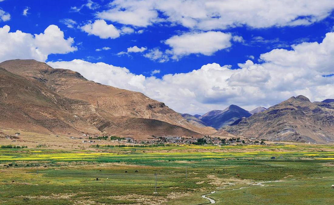 羌塘草原上的美好圖景。人民網(wǎng) 李海霞攝