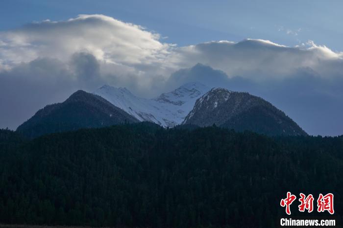 西藏波密縣的原始森林與雪山風(fēng)光。　江飛波 攝