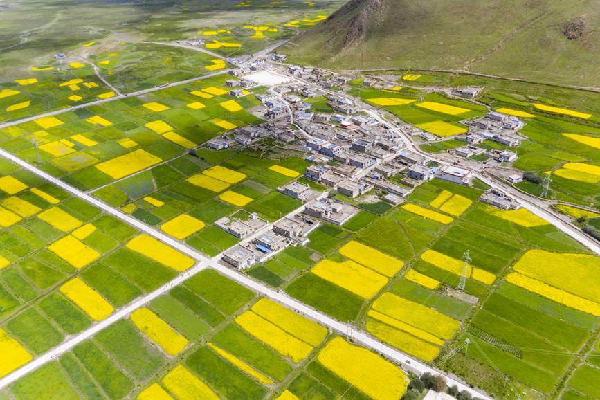 航拍道布龍村，依山傍水，阡陌縱橫。