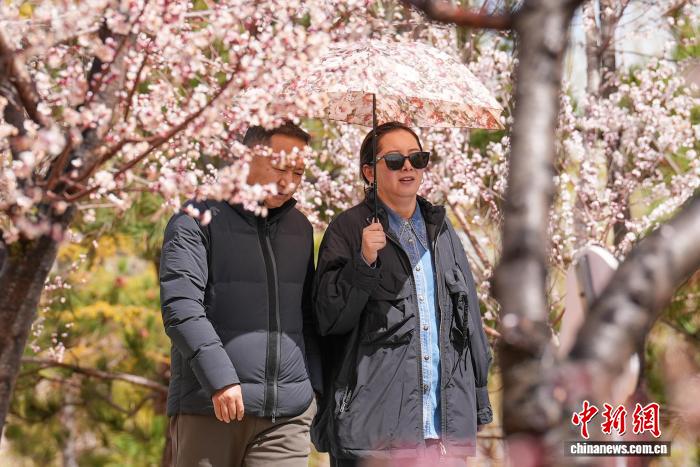 雪域高原春意盎然拉薩河畔繁花綻放