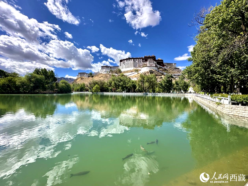 公園一角。