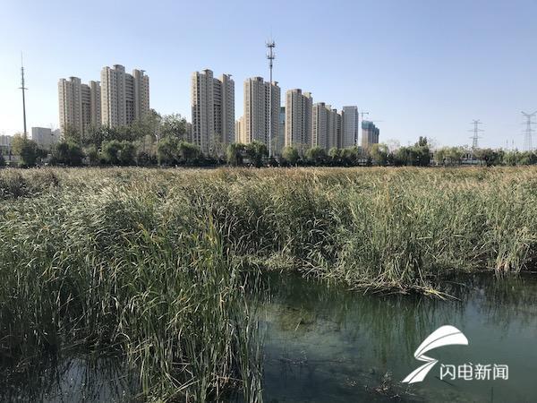 d442b1a258232a1f13483395b4e654d3.jpg IMG_7890.JPG