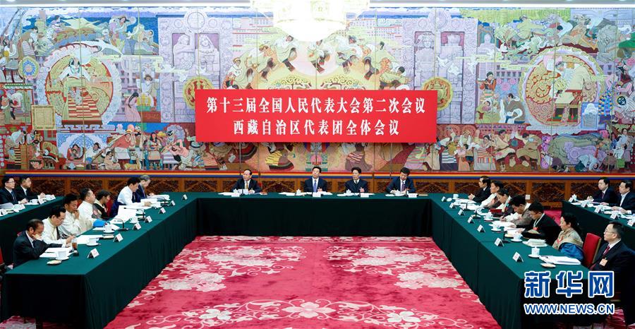 （兩會）西藏代表團(tuán)全體會議向媒體開放