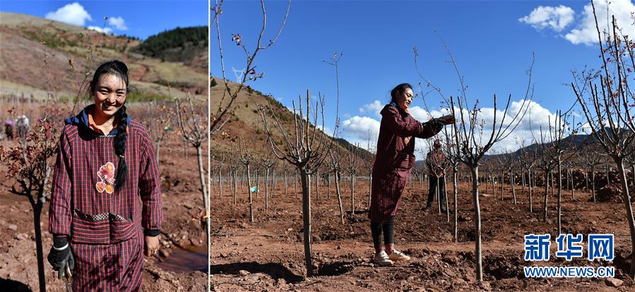 （脫貧攻堅·圖片故事）（4）藏東大地脫貧影像