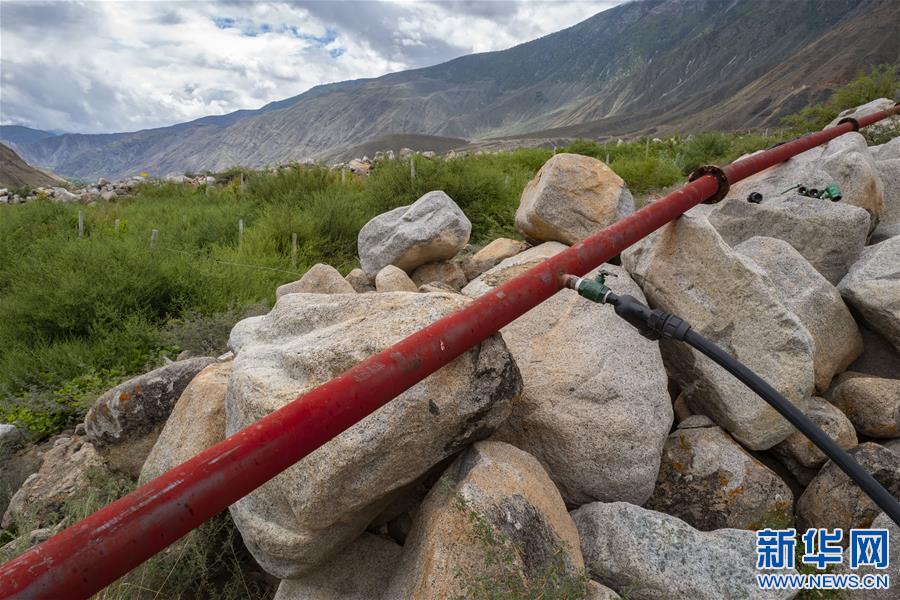 (西藏昌都解放70周年·圖文互動(dòng))(9)藏東脫貧影像:怒江河畔葡萄香