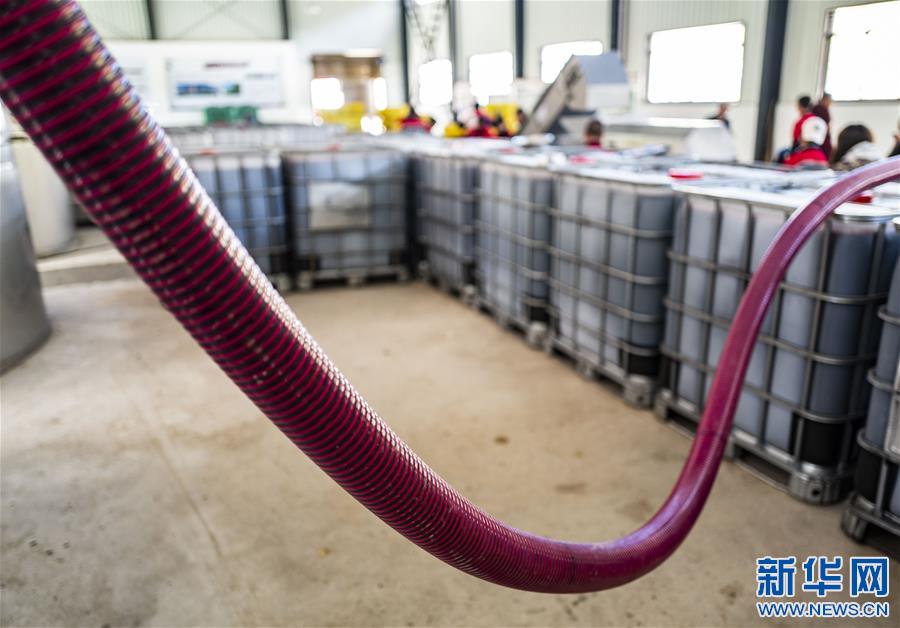 (西藏昌都解放70周年·圖文互動(dòng))(12)藏東脫貧影像:怒江河畔葡萄香