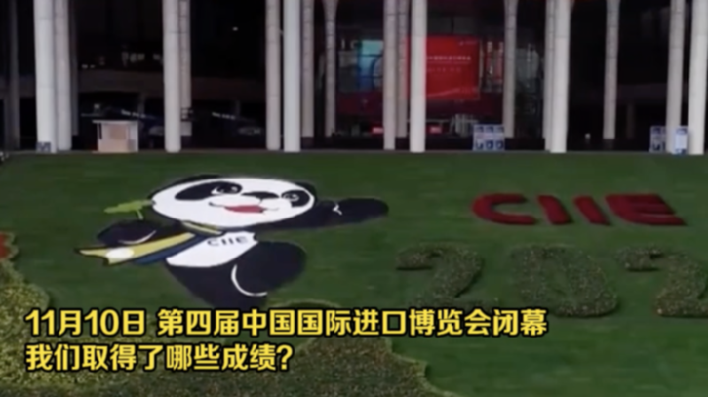 從進(jìn)博會(huì)看入世20年 這份成績單請收好！