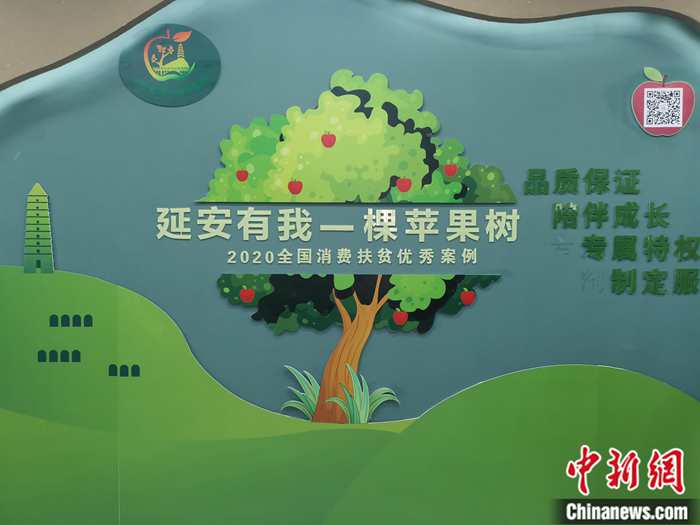 “延安有我一棵蘋果樹”。<a target='_blank'  ><p  align=