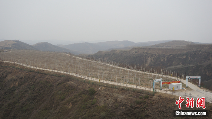 陜西省延安市安塞區(qū)高橋鎮(zhèn)南溝村生態(tài)示范園。 <a target='_blank'  ><p  align=