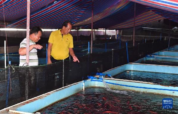 有聲手賬丨【我是一線黨代表 】王書茂：保護好“祖宗?！笔沁@輩子最大的心愿