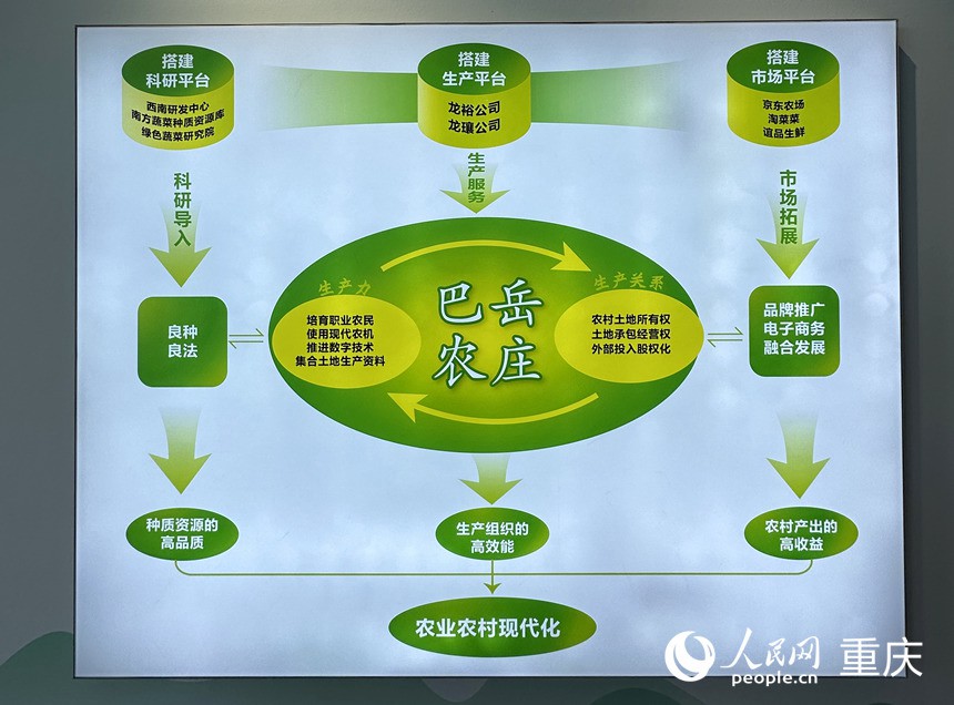 “巴岳農(nóng)莊”運作示意圖。人民網(wǎng)記者 劉政寧攝