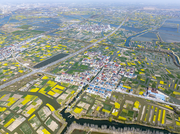 春天里的水鄉(xiāng)興化。周社根攝