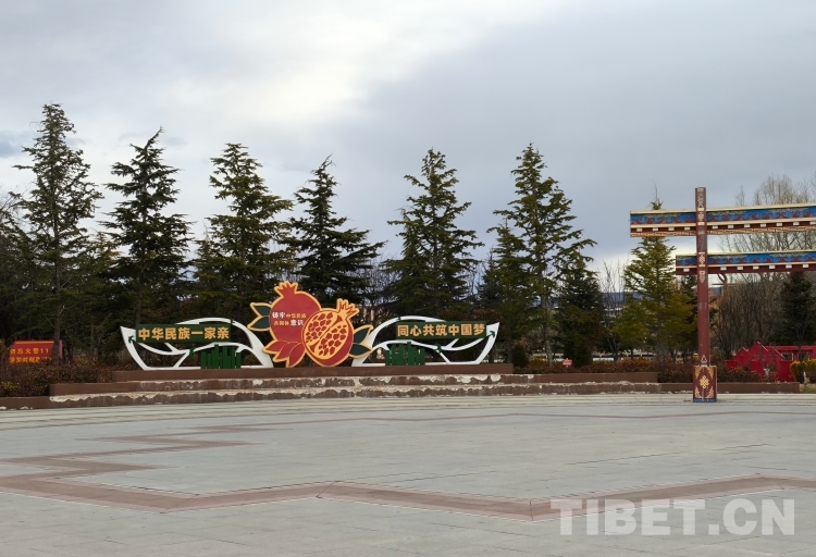 MTXX_MH20240331_195949108 MTXX_MH20240331_195949108