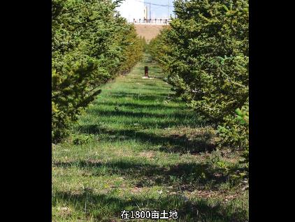 360截圖20260618094214844.jpg